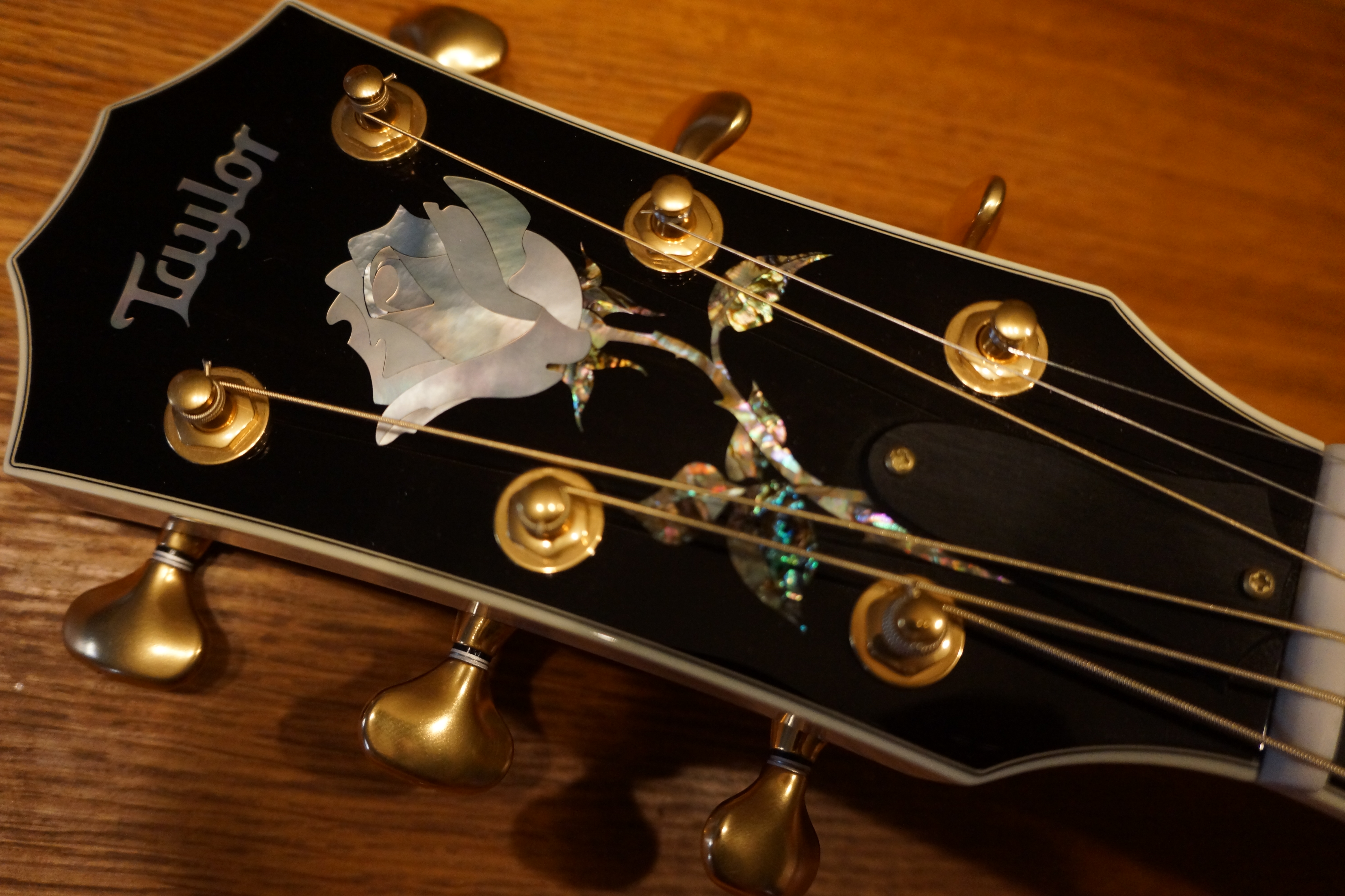 Taylor  Doyle Dykes Signature Model