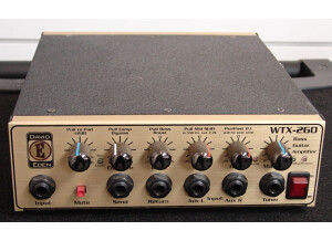 Eden Amplification WTX-260