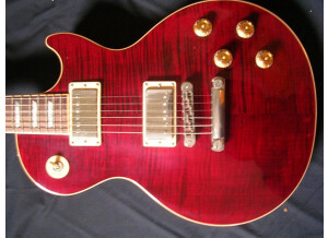 Gibson Les Paul Series - Les Paul Standard 60 (32674)
