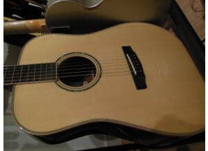 Cort Earth 900 (27485)