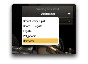 Voicing Assistant