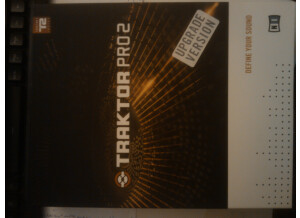 Native Instruments Traktor Pro 2 (88826)