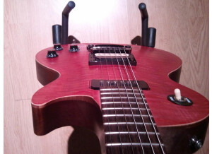 Gibson Les Paul BFG (41566)