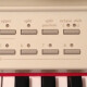 PG5 Ivory PG5 Ivory