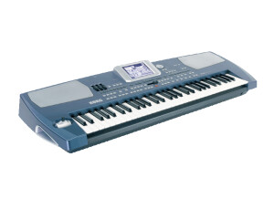 Korg Pa500 (97906)
