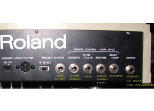 Roland CR-8000 (5161)