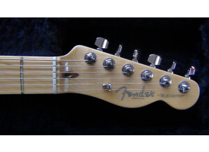 Fender Tele-Bration Lamboo Telecaster (70346)