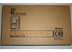 Ibanez EC-40 Canary Chorus (40412)