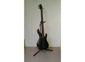 Ibanez EDB605 - Iron Pewter Flat