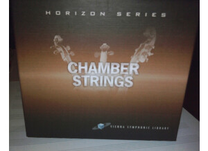 VSL Chamber Strings (20108)