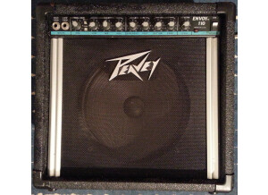 Peavey Envoy 110 (1989) (80526)