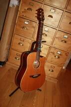 Takamine ESF10C