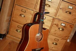 Takamine ESF10C