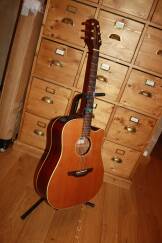Takamine ESF10C