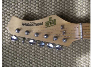 Hondo Professional Stratocaster