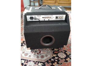 Hartke A100 (42825)