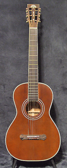 Washburn R319SWK