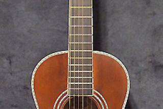 Washburn R319SWK