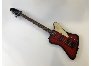 Tokai Thunderbird (10513)