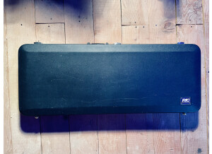 Rickenbacker 360/12 (21578)