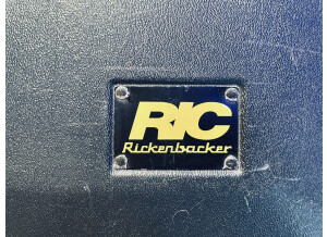 Rickenbacker 360/12 (73853)