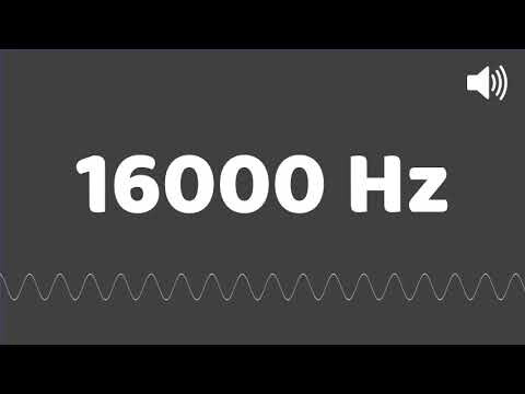 5302444.jpg 5302444.jpg