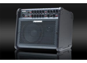 Fishman Loudbox 100 (60586)