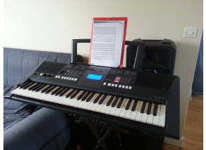 Yamaha PSR-E423 (24553)