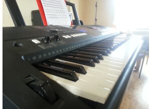 Yamaha PSR-E423 (15224)