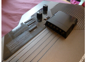 Casio DG20 (60059)