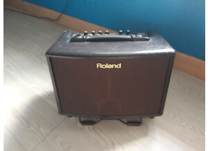 Roland 1