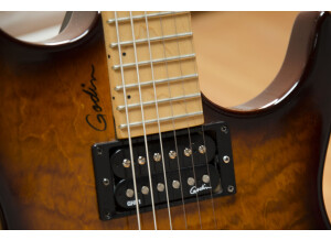 Godin Freeway Classic - Light Burst Maple