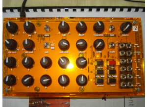 Mutable Instruments Anushri (40086)