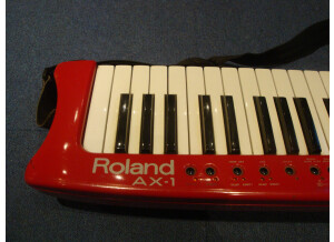 Roland AX-1 (75357)