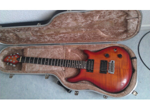 Patrick Eggle Guitars berlin pro 1992 (51852)
