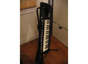 Roland Lucina AX-09-BK Black
