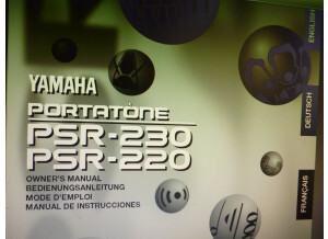 Yamaha PSR-220 (92378)