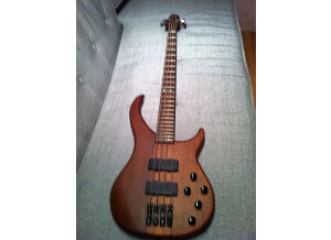Peavey Cirrus 4 Bxp Natural