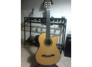 Olympia Guitars OC-10SCE Nylon (94525)