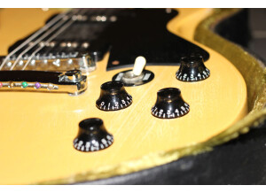 Gibson Les Paul Faded DC (66292)