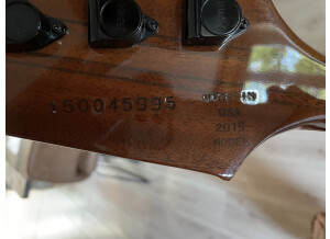 Gibson Thunderbird Bass (2015)