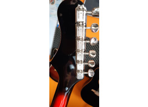 Silvertone 1478 Silhouette