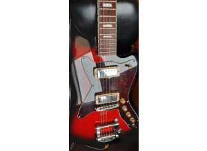 Silvertone 1478 Silhouette