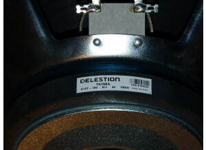 Celestion G12T-100 (68022)