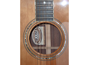 Tacoma Guitars DR28 (73243)