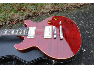 Gibson Les Paul Double Cut DC Pro (64128)