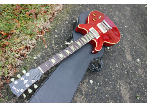 Gibson Les Paul Double Cut DC Pro (69644)
