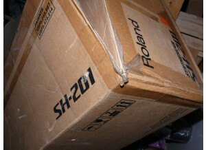 Roland SH-201 (11910)