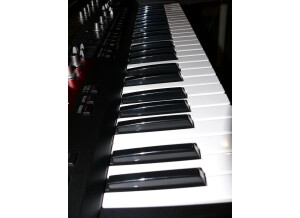 Roland SH-201 (8139)