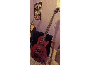 Epiphone Les Paul Special Bass - Trans Red